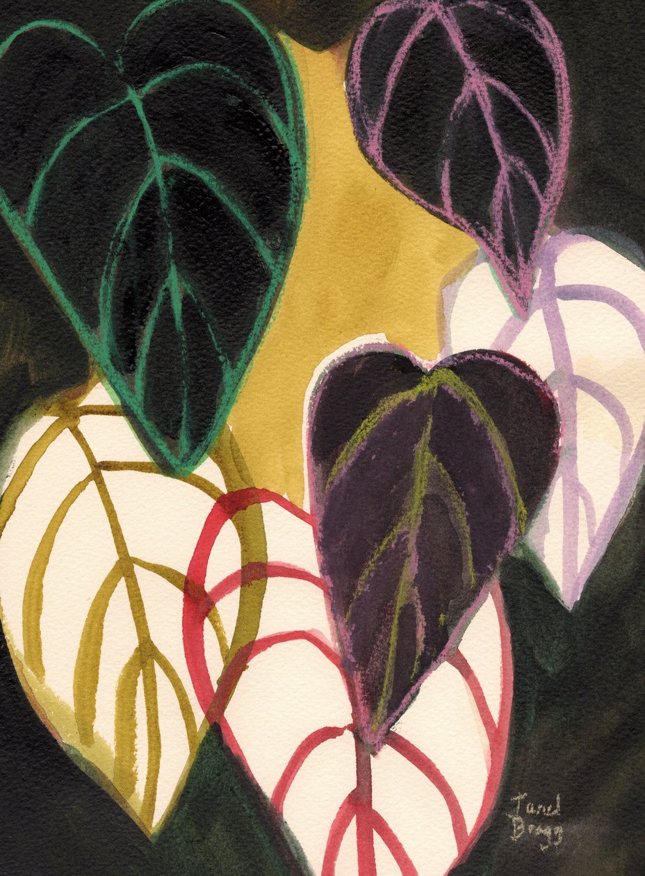 Philodendronblätter mit Chartreuse, 2025 von Janel Bragg