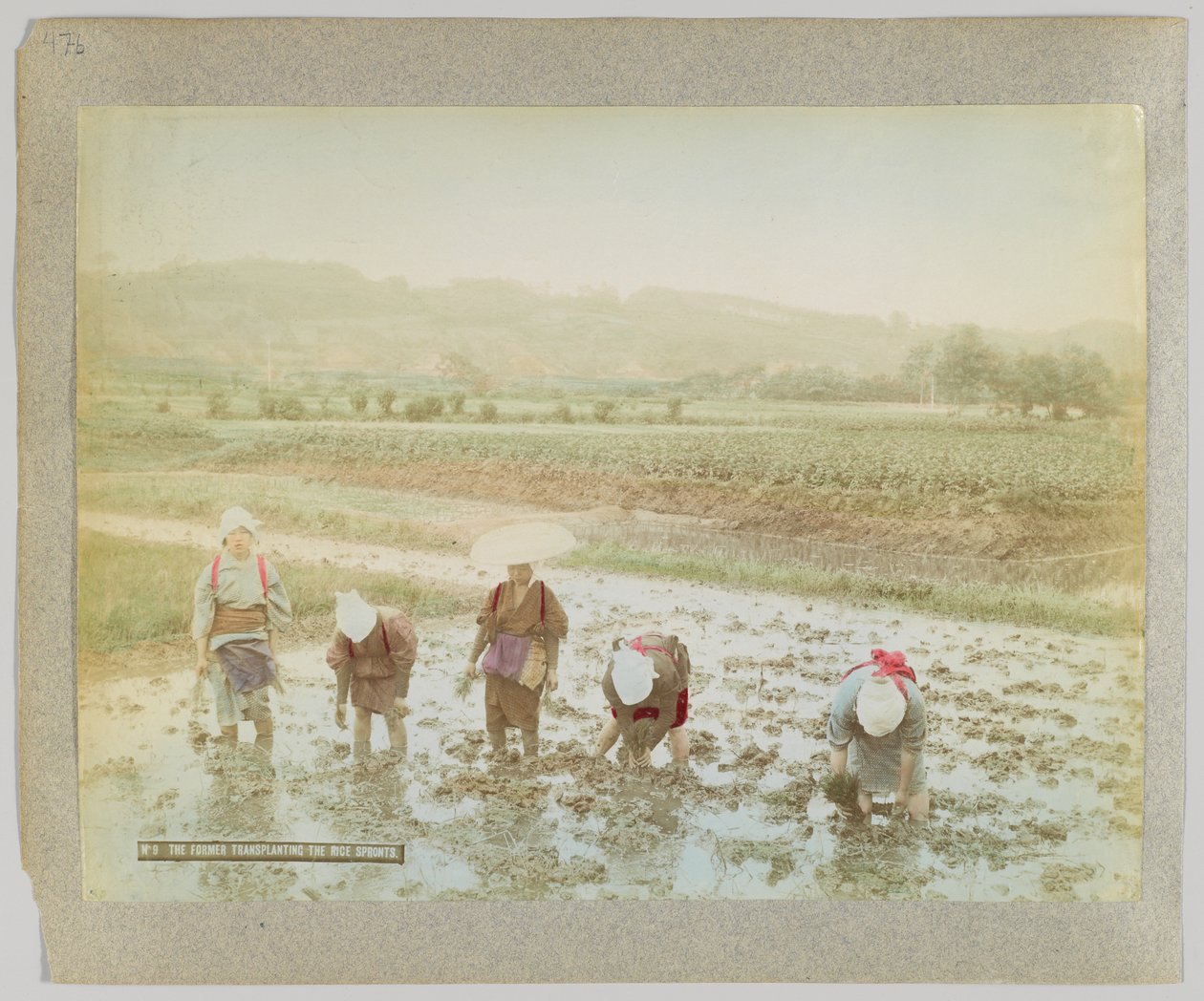 Reissetzlinge pflanzen, Japan von Japanese Photographer