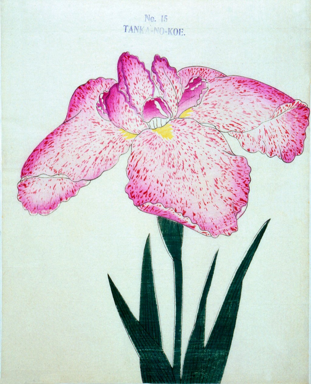 Tanka-no.-Koe, Nr. 15, 1898 von Japanese School