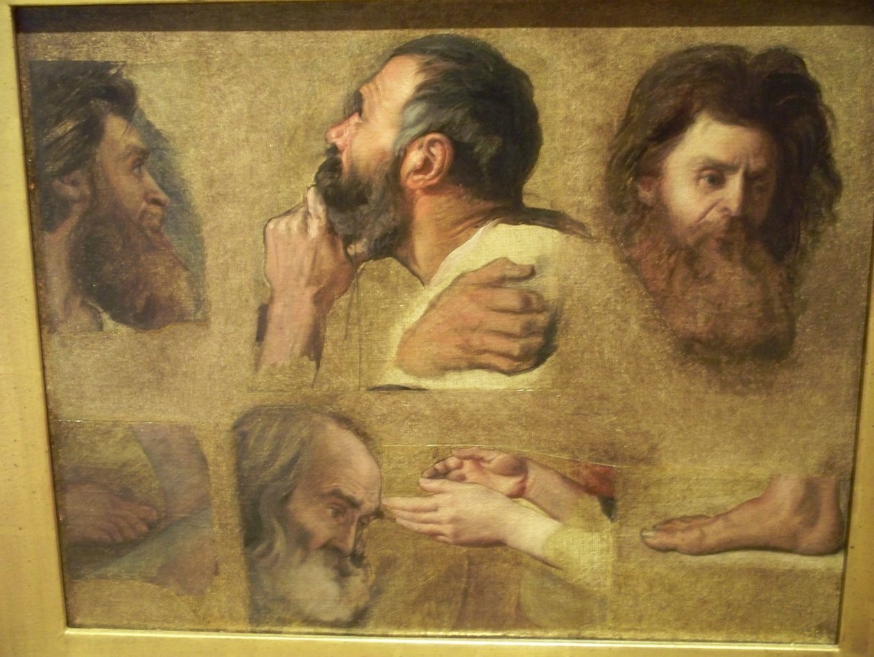 Studien für Jesus unter den Ärzten von Jean Auguste Dominique Ingres