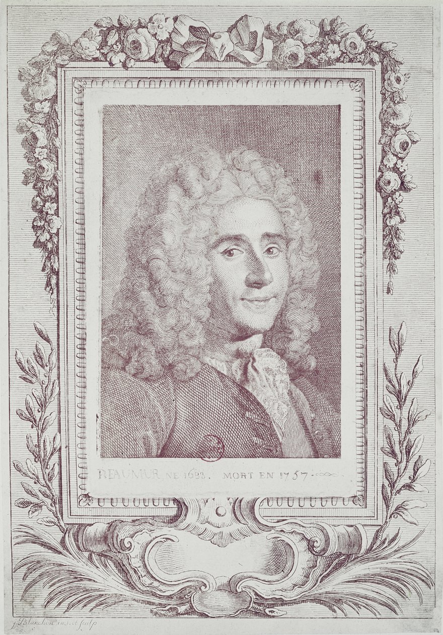 Rene Antoine Ferchault de Reaumur (1683-1757) von Jean Guillaume Blanchon