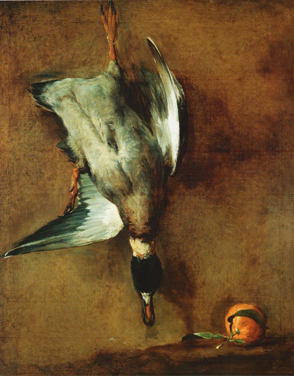 Eine Stockente an der Wand befestigt und eine Bitterorange von Jean-Baptiste Simeon Chardin
