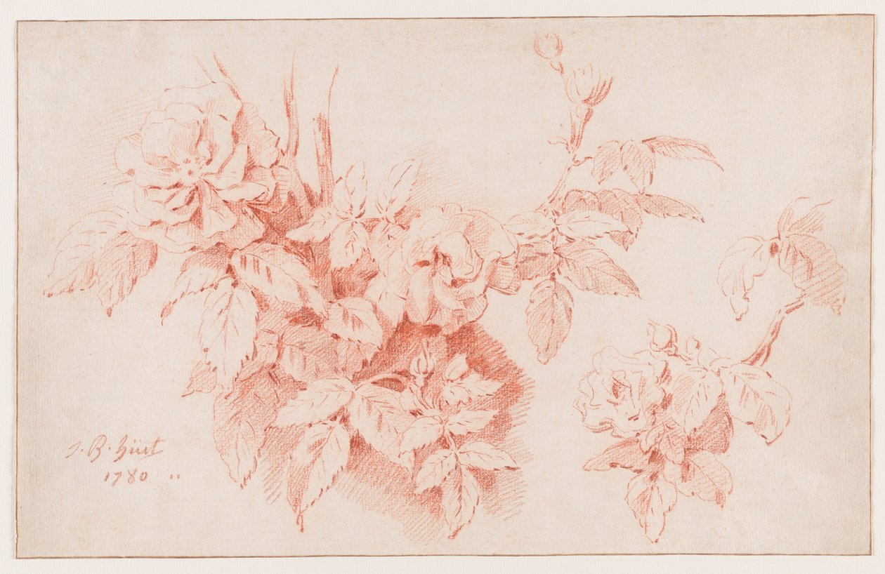 Rosen von Jean-Baptiste Huet