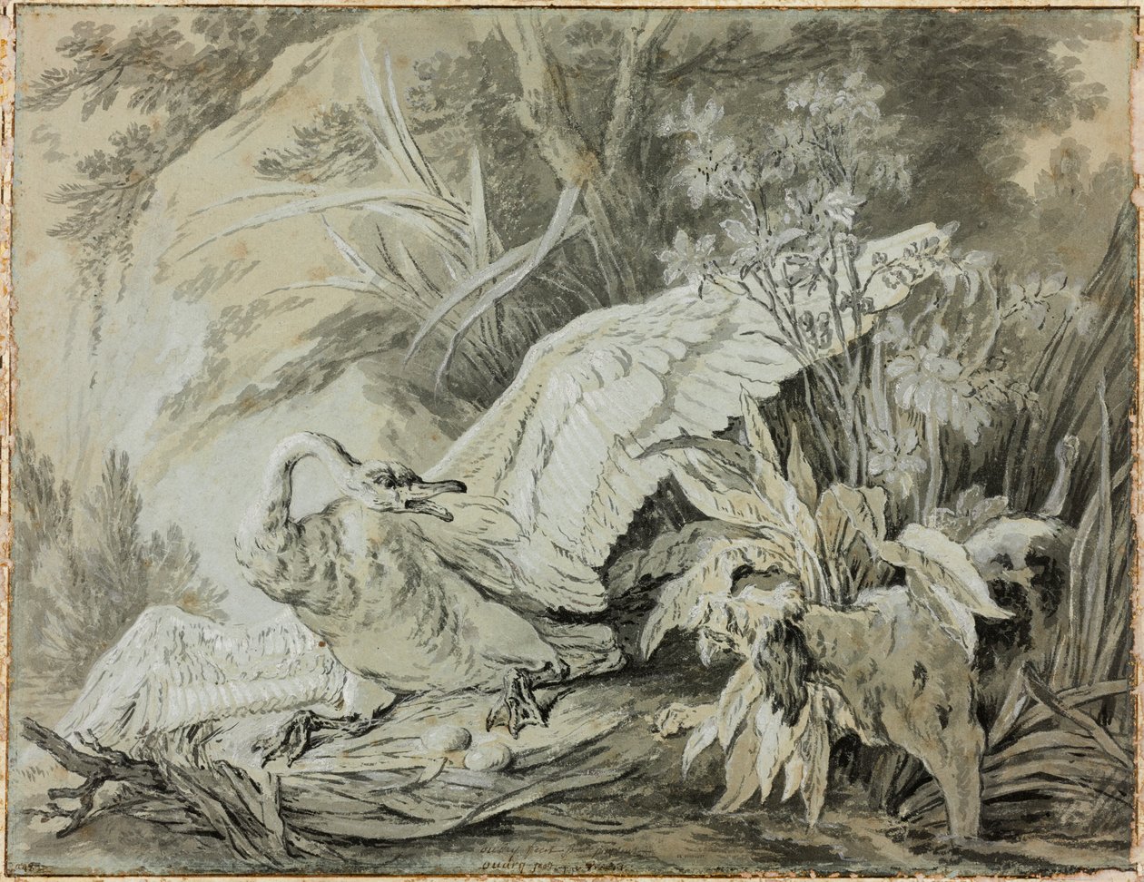 Ein wilder Schwan von einem Hund angegriffen von Jean-Baptiste Oudry