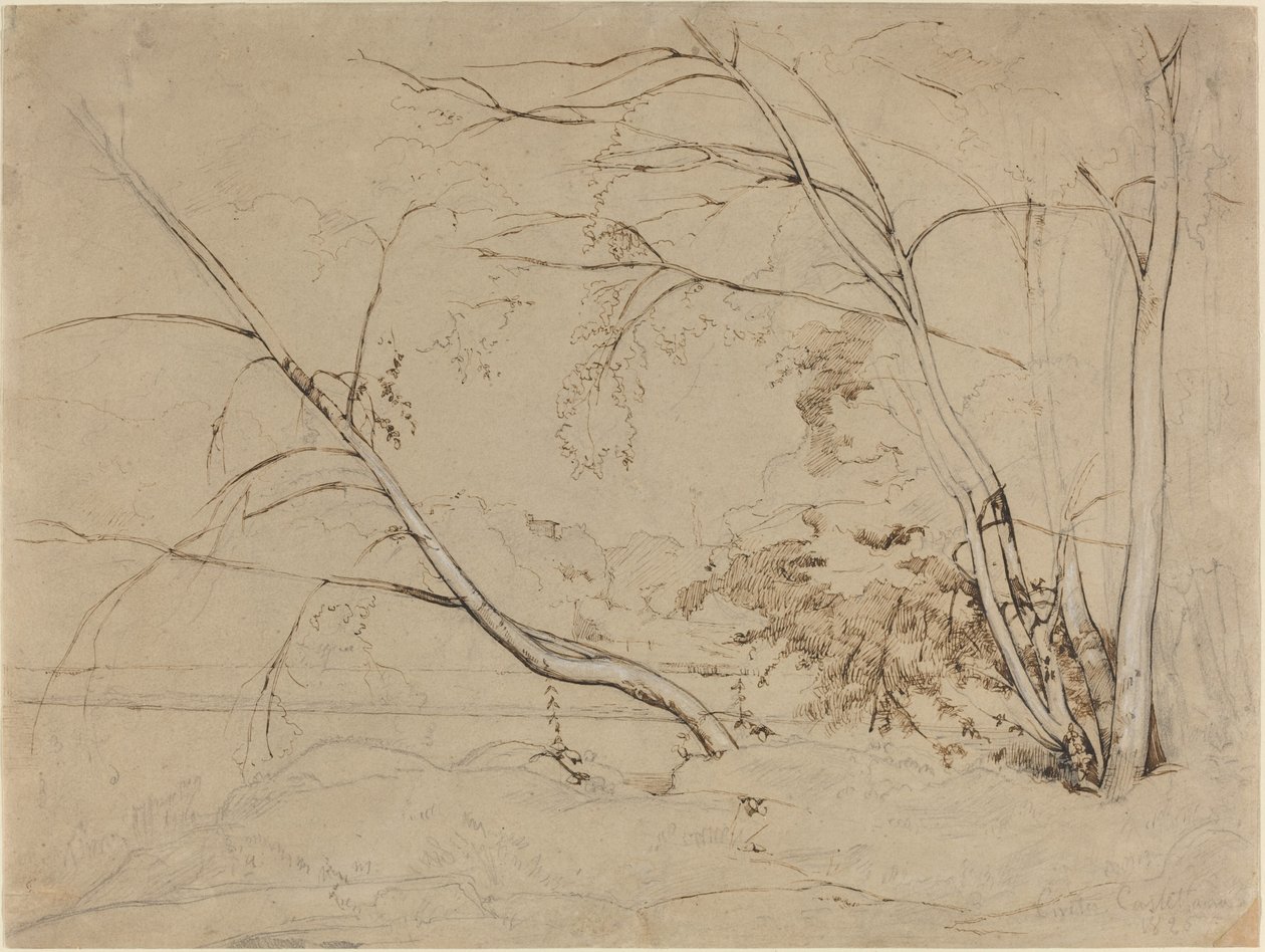 Baumgruppe bei Civita Castellana von Jean Baptiste Camille Corot