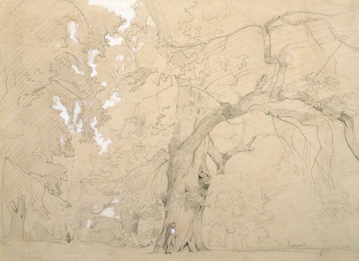 Junger Mann vor einer großen Eiche, um 1840 von Jean Baptiste Camille Corot