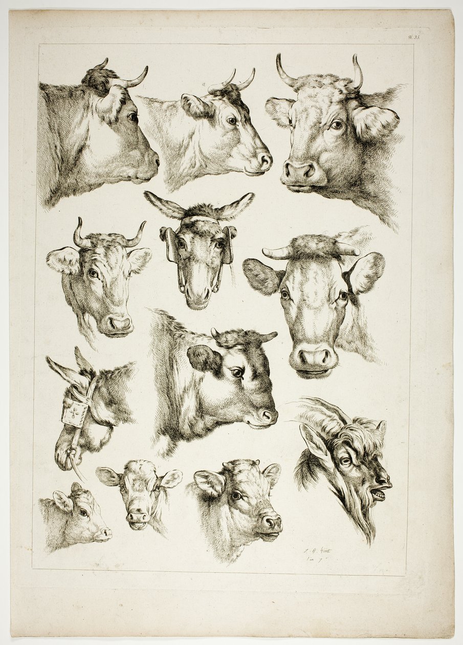 Platte 35 von 38 aus Oeuvres de J. B. Huet von Jean Baptiste Huet