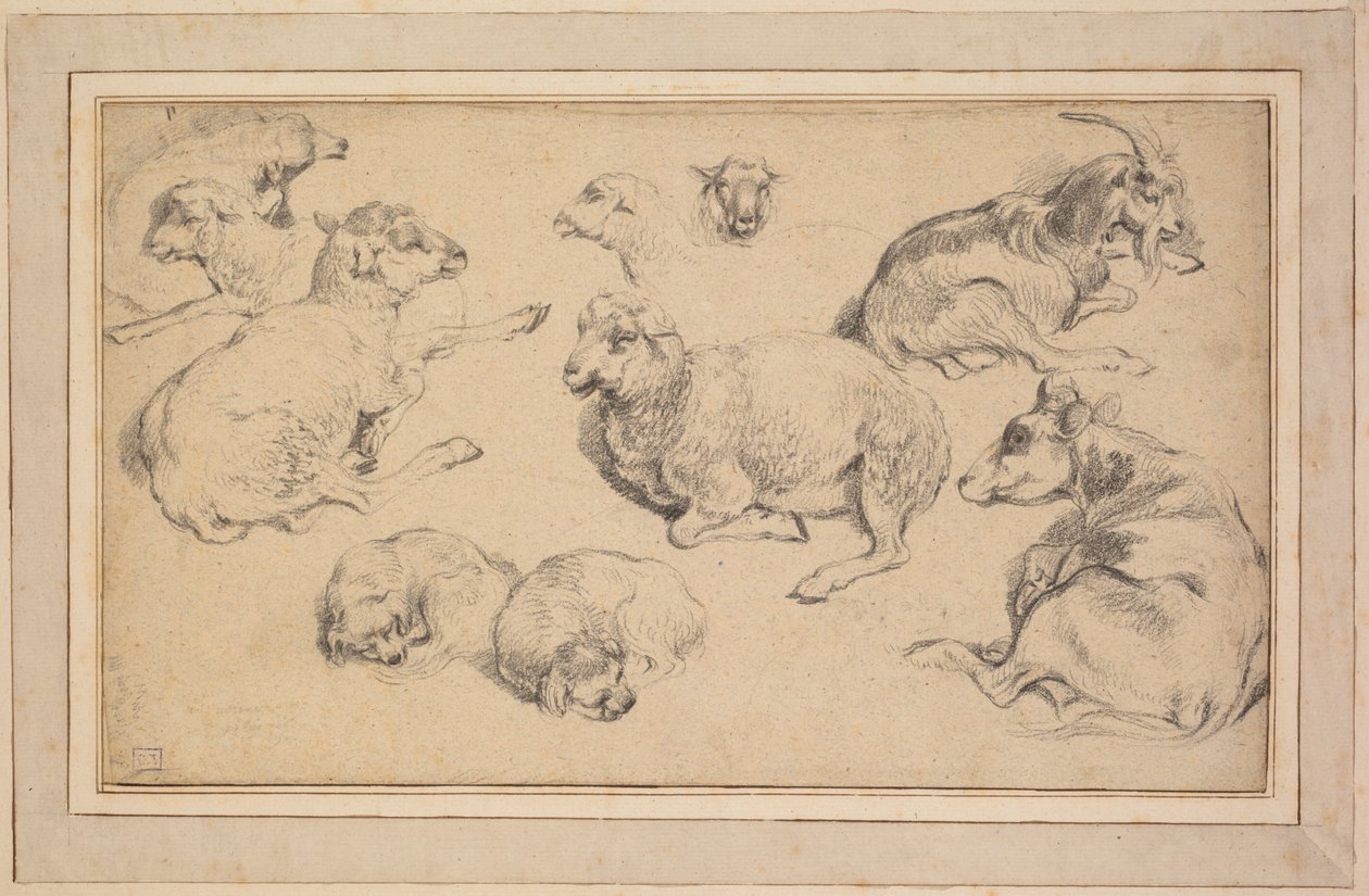 Blatt mit Studien von Schafen, Ziegen und Hunden von Jean Baptiste Marie Huet