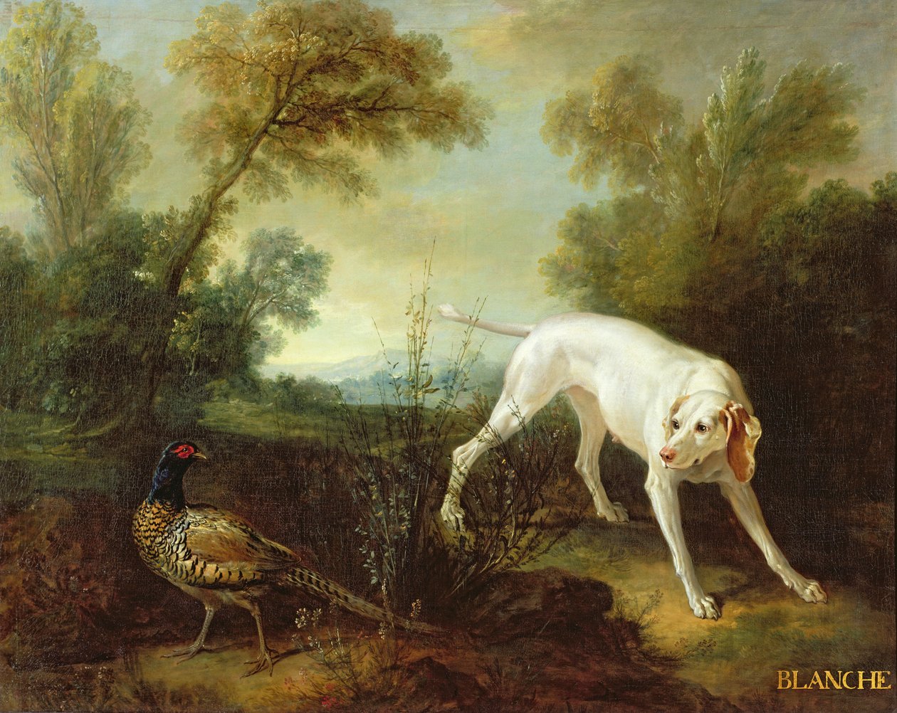 Blanche, Hündin des königlichen Jagdmeute von Jean Baptiste Oudry