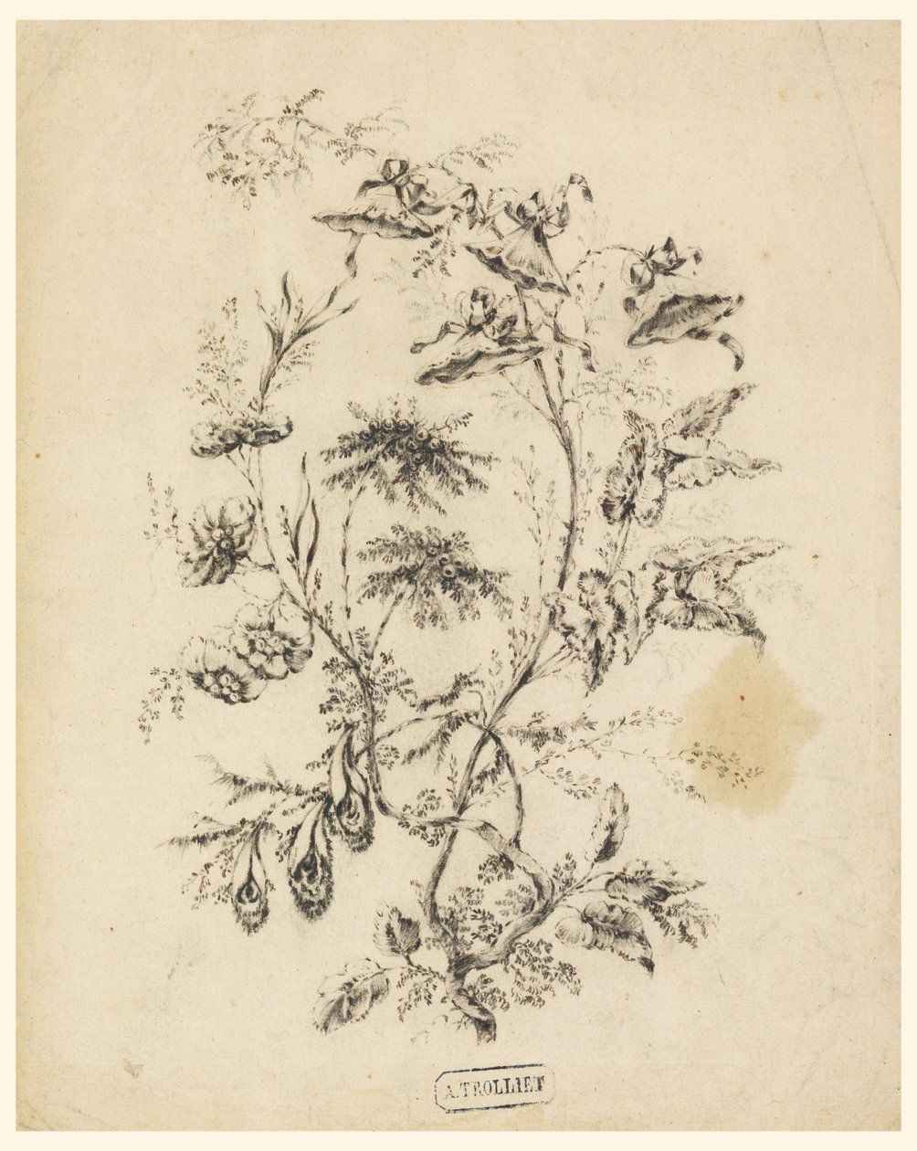 Zeichnung, Ast eines fantastischen Baumes, 1775–1800 von Jean Baptiste Pillement