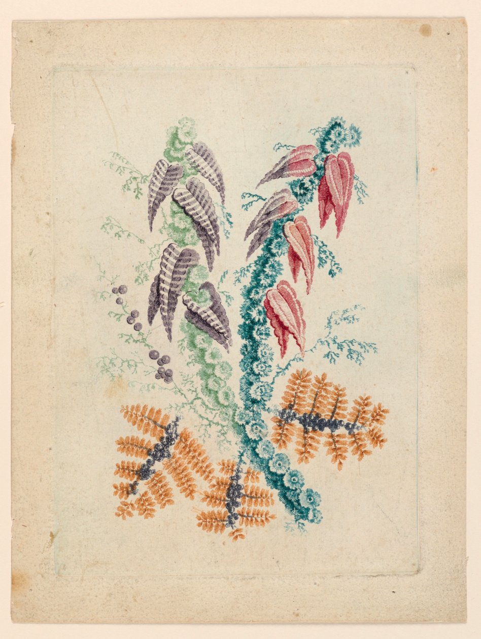 Fantastisches Blumenmotiv aus "Nouvelle Suitte de Cahiers de fleurs idéales" von Jean Baptiste Pillement