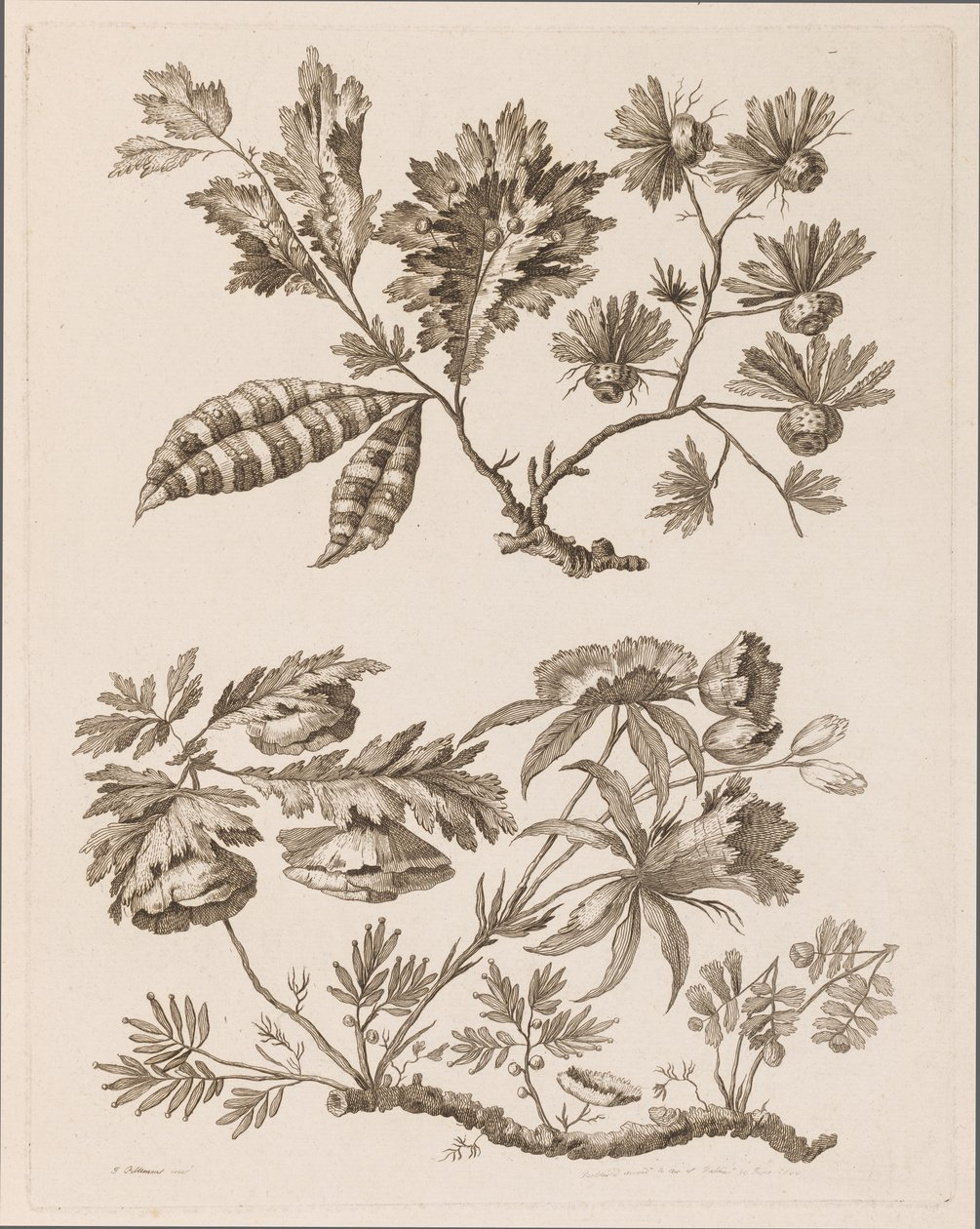 Blumenzweige, aus "Recueil de Differentes Fleurs de Fantaisie Dans le Goût Chinois" von Jean Baptiste Pillement