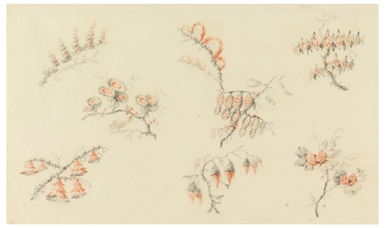 Sträuße von sieben idealen Blumen und einer quasi naturalistischen Blume von Jean Baptiste Pillement