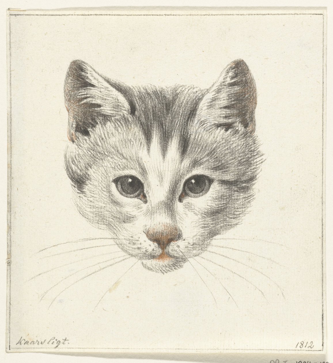 Kopf einer Katze, von vorne gesehen bei Kerzenlicht von Jean Bernard