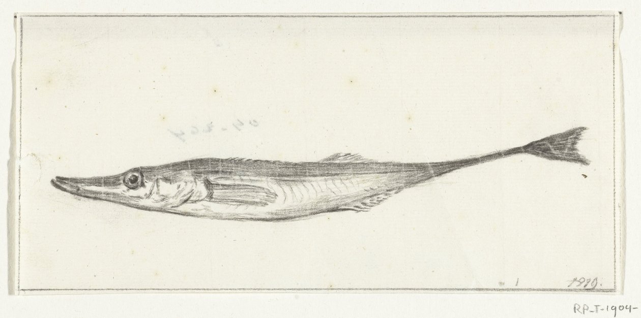 Fisch von Jean Bernard