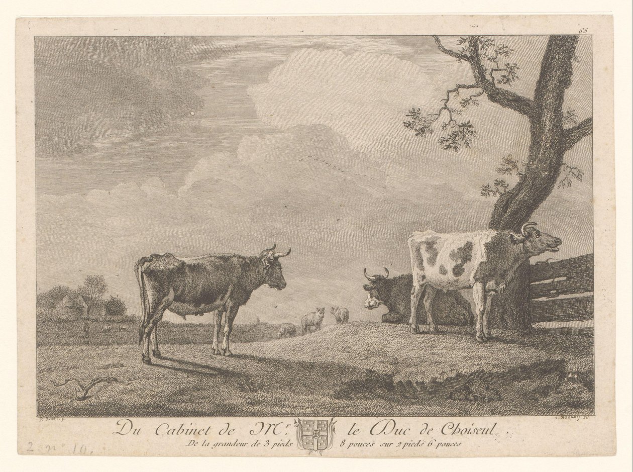 Drei Kühe auf einer Wiese von Jean Charles Baquoy