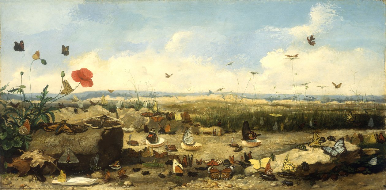 Das Rennen der Schmetterlinge, 1872 von Jean Eugene Doneaud