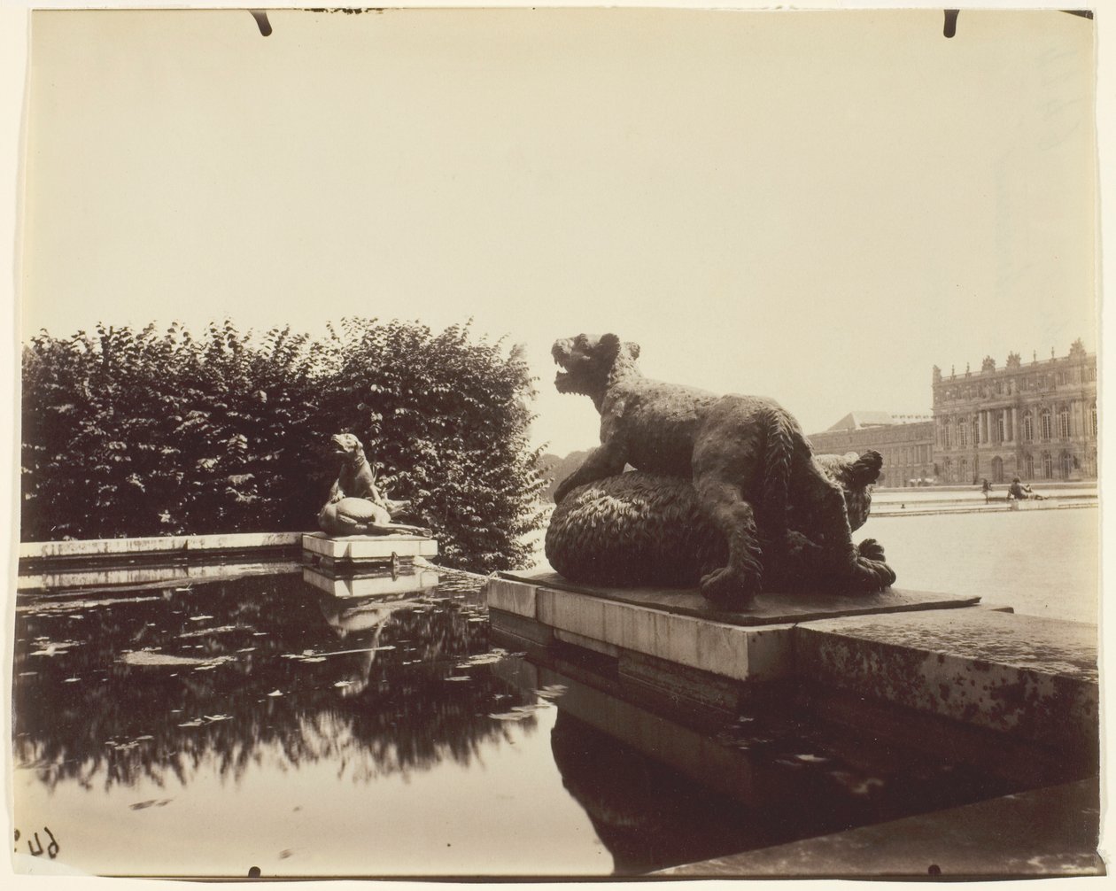 Versailles, Fontaine du Point du Jour, (Tigre besiegt einen Bären von Houzeau) von Jean Eugène Auguste Atget