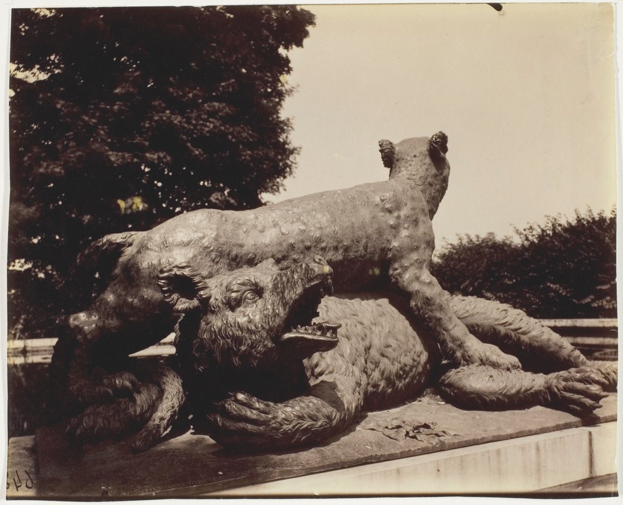Versailles, Fontaine du Point du Jour, (Tigre besiegt einen Bären von Houzeau) von Jean Eugène Auguste Atget