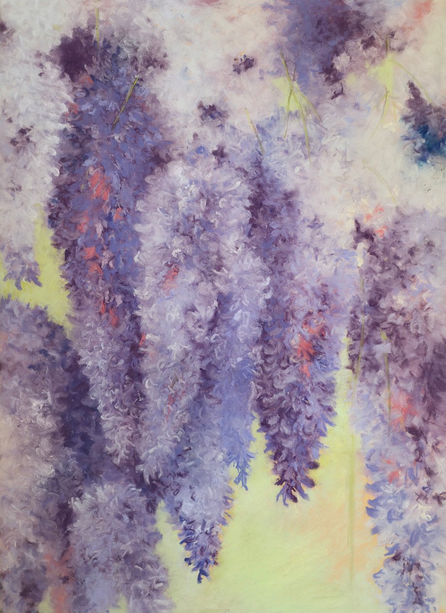 Blauregenblüten von Jeanne Maze