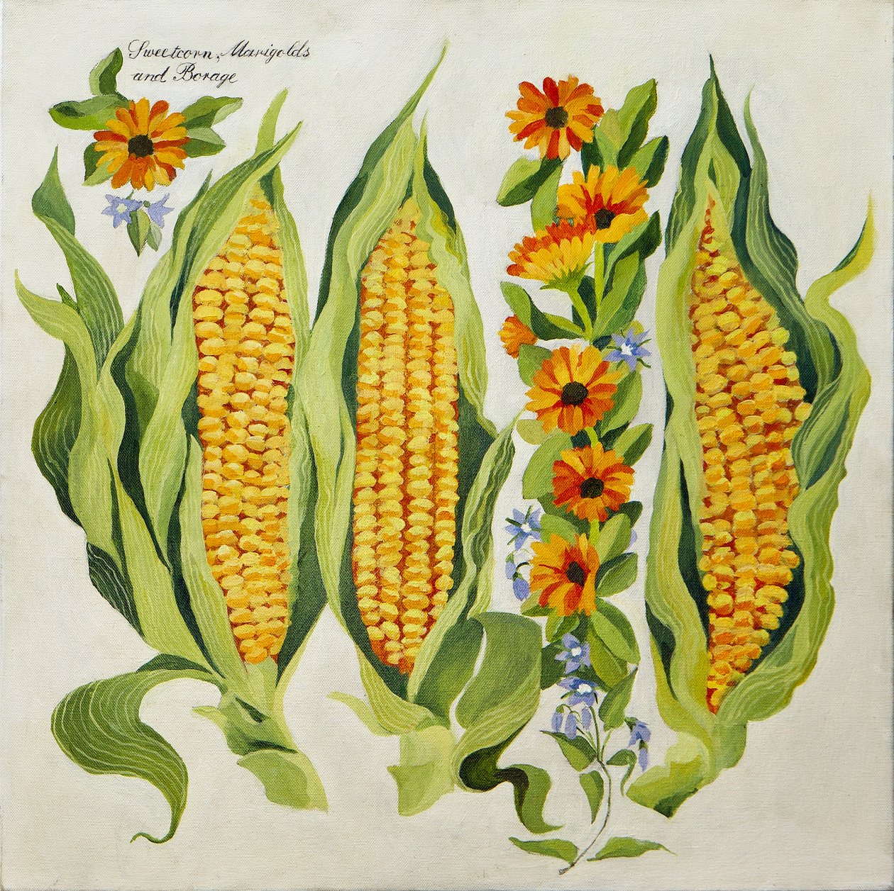 Mais und Markblumen, 2014 von Jennifer Abbott