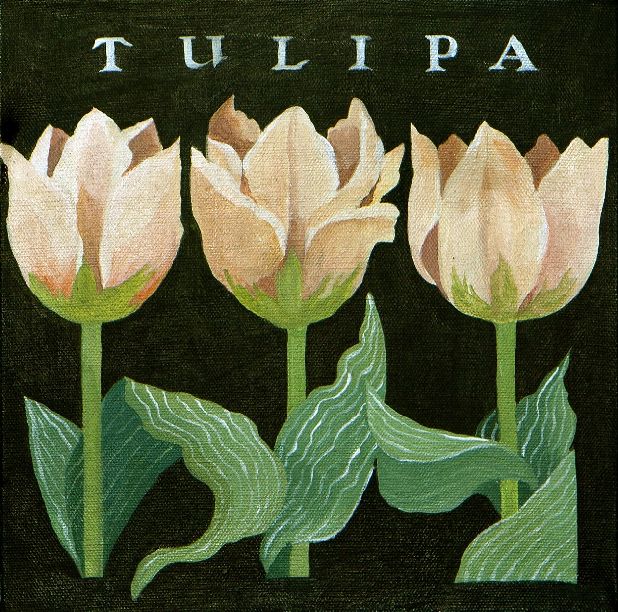 Tulpen, 2013 von Jennifer Abbott