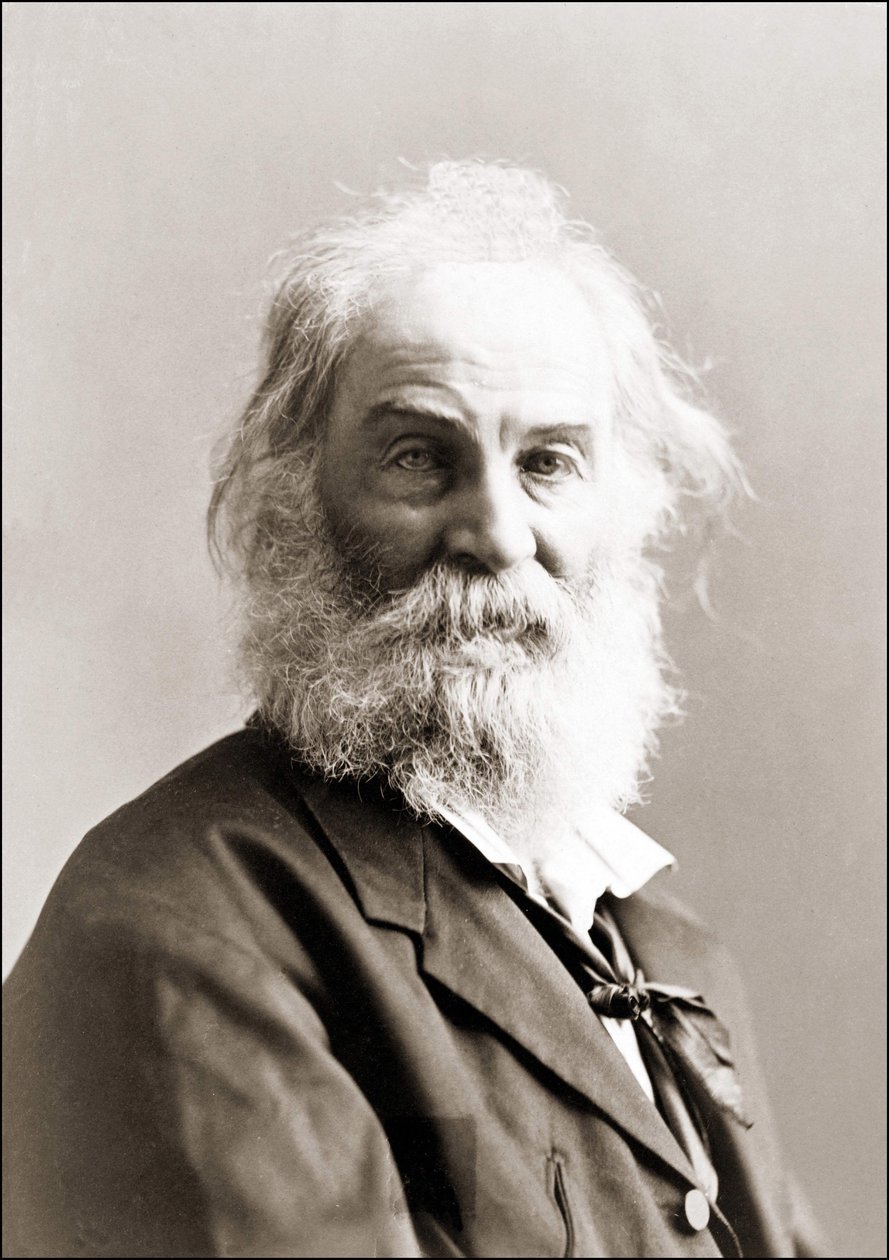 Porträt von Walt Whitman (1819 - 1892) von Gurney zwischen 1880 und 1890. von Jeremiah Gurney
