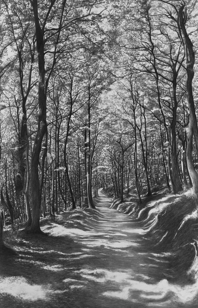 Toskana, Buchenwald von Jerome Glomaud