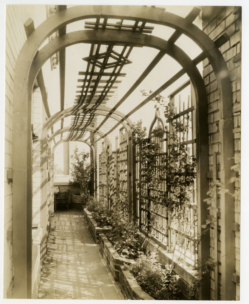 Hintergarten von Mrs Regina Jais, ca. 1936-37 von Jessie Tarbox Beals