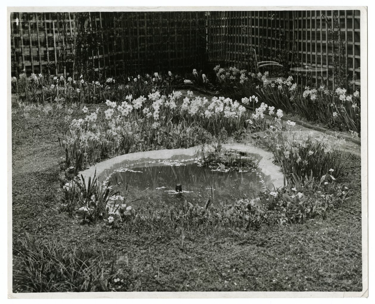 Garten von Mr & Mrs Wm H Wells, 265 W 11th St, New York, USA von Jessie Tarbox Beals