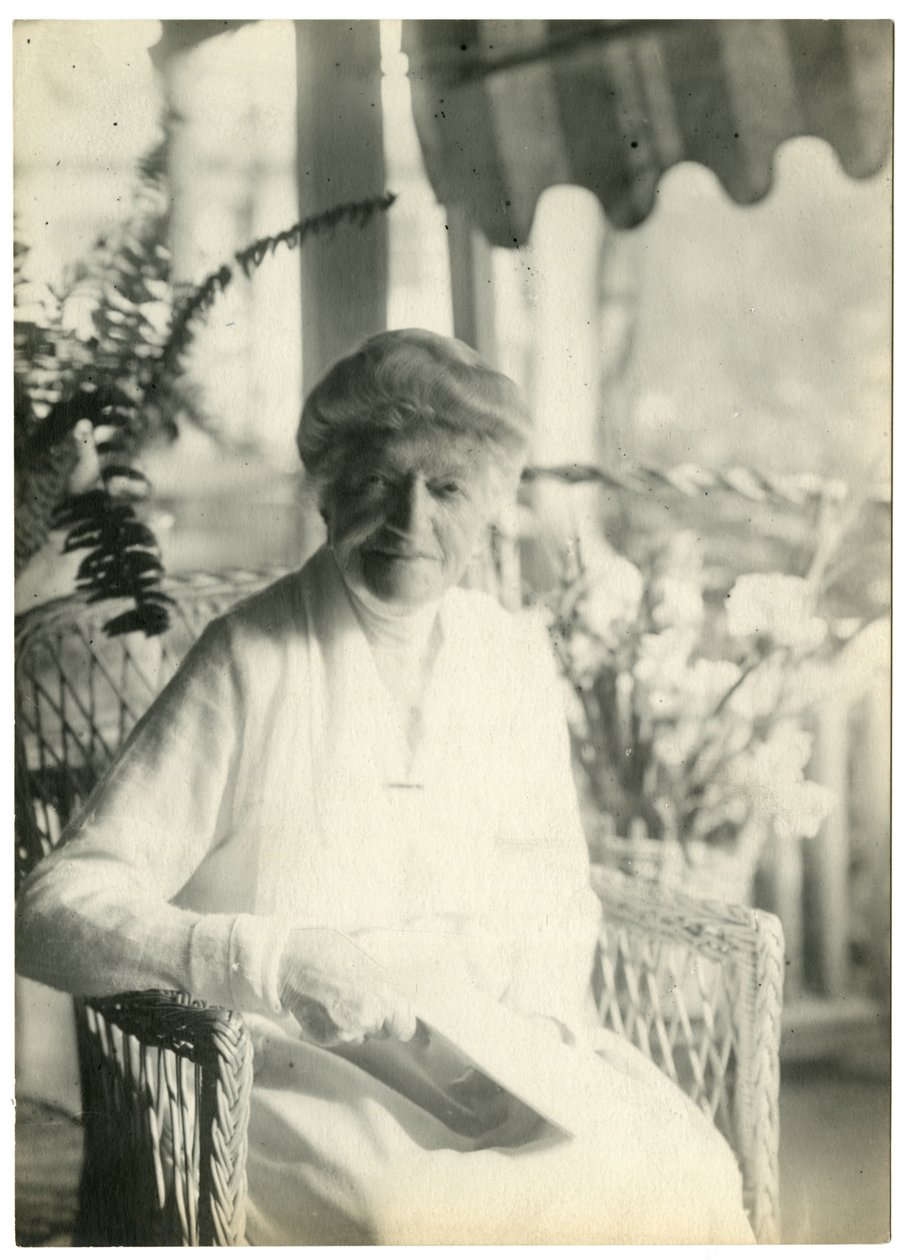 Mrs. L. D. James aus Williamsburg, Massachusetts, Schwester von Marshall Field von Jessie Tarbox Beals