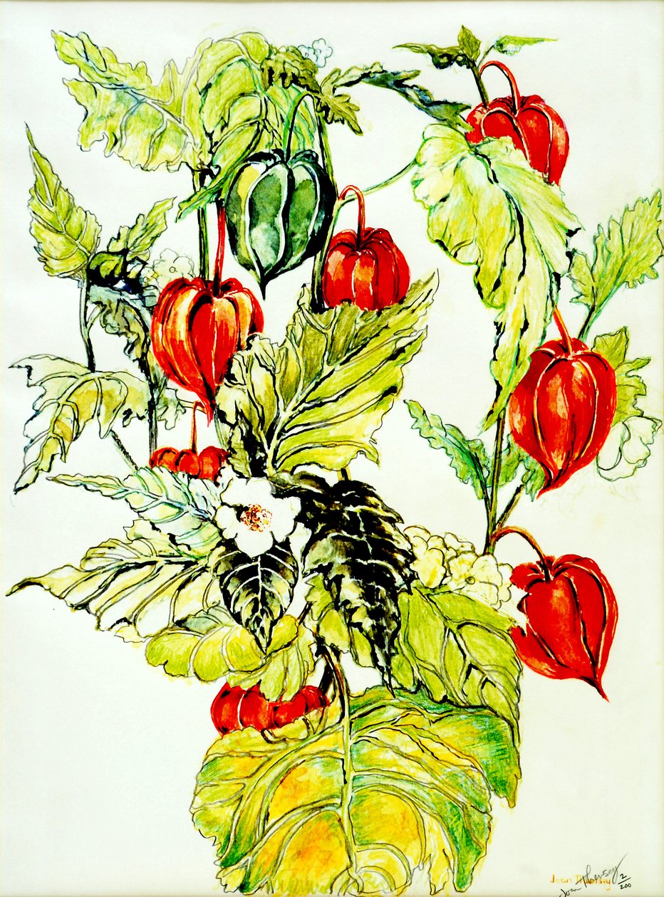 Chinesische Laterne, 2005 von Joan Thewsey