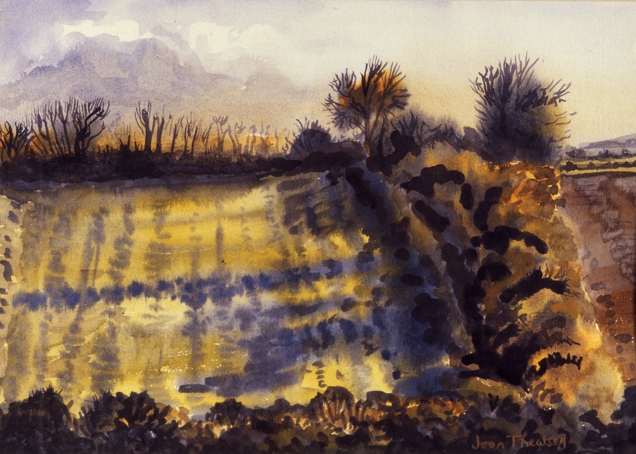 Feld mit langen Schatten von Joan Thewsey