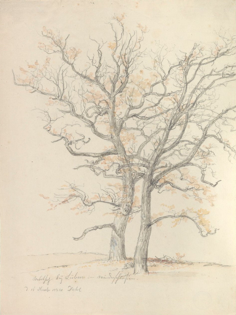 Zwei Eichen von Johan Christian Dahl