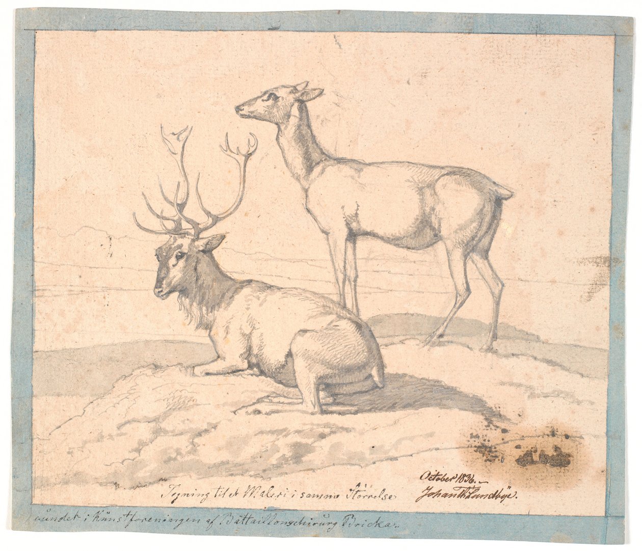 Ein liegender Hirsch und eine stehende Hirschkuh von Johan Thomas Lundbye