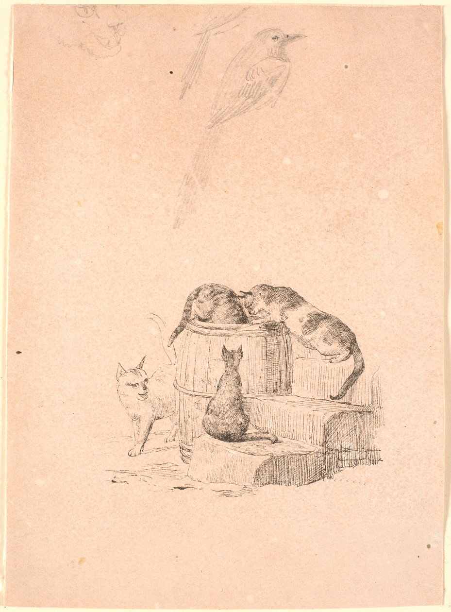 Die Katzen. Oben Bleistiftstudie eines Katzenkopfes und zwei Elstern von Johan Thomas Lundbye