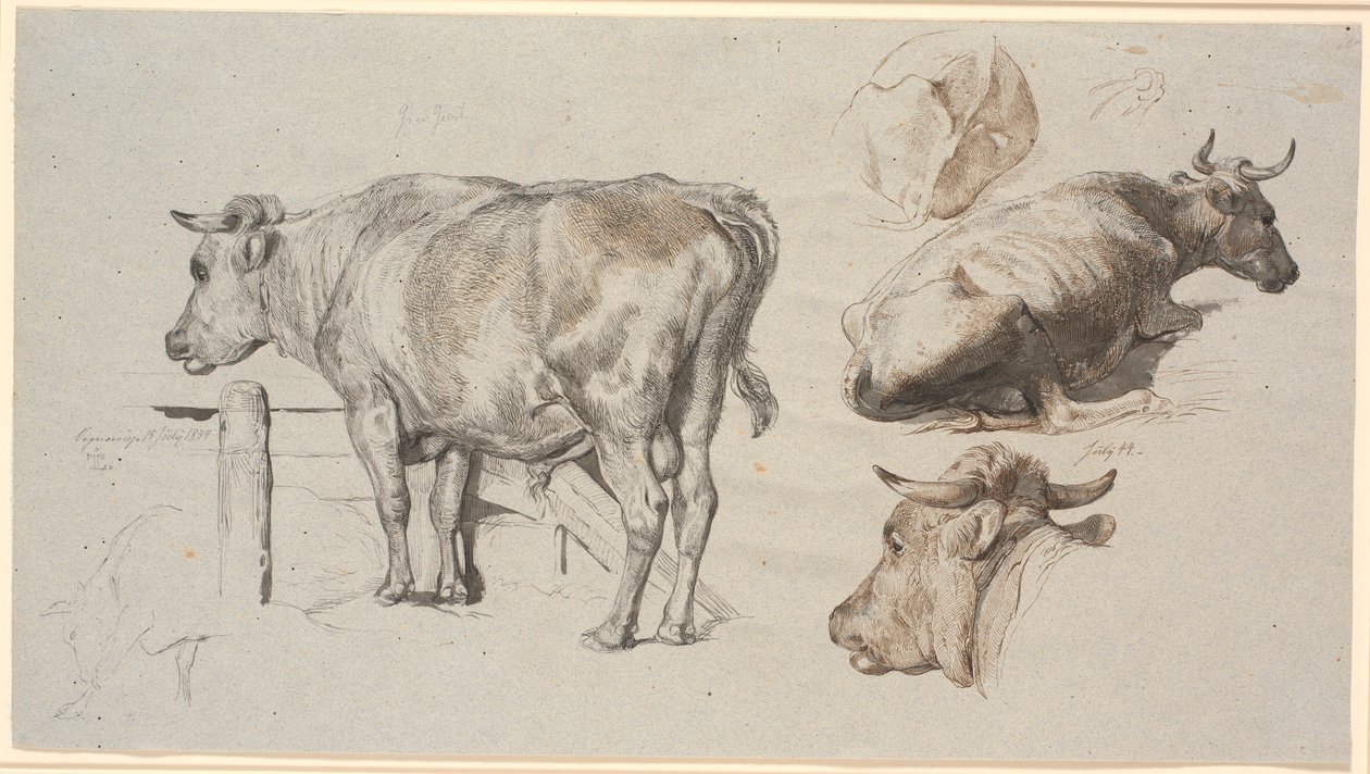 Rinderstudien. Links der Stier Graf Geert von Johan Thomas Lundbye