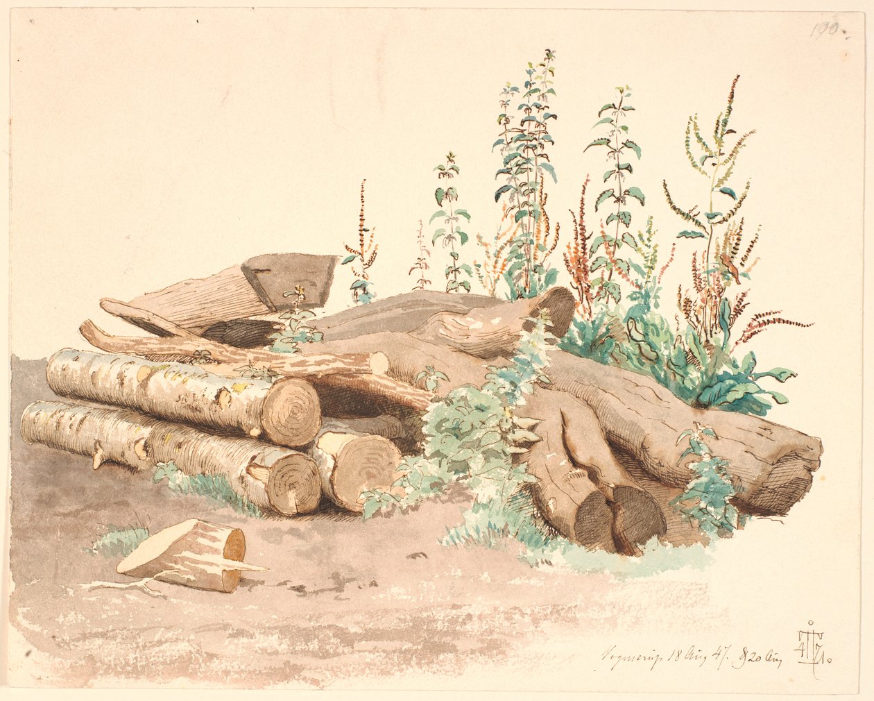 Einige gefällte Baumstämme, ein Wassertrug und verschiedene Pflanzen von Johan Thomas Lundbye