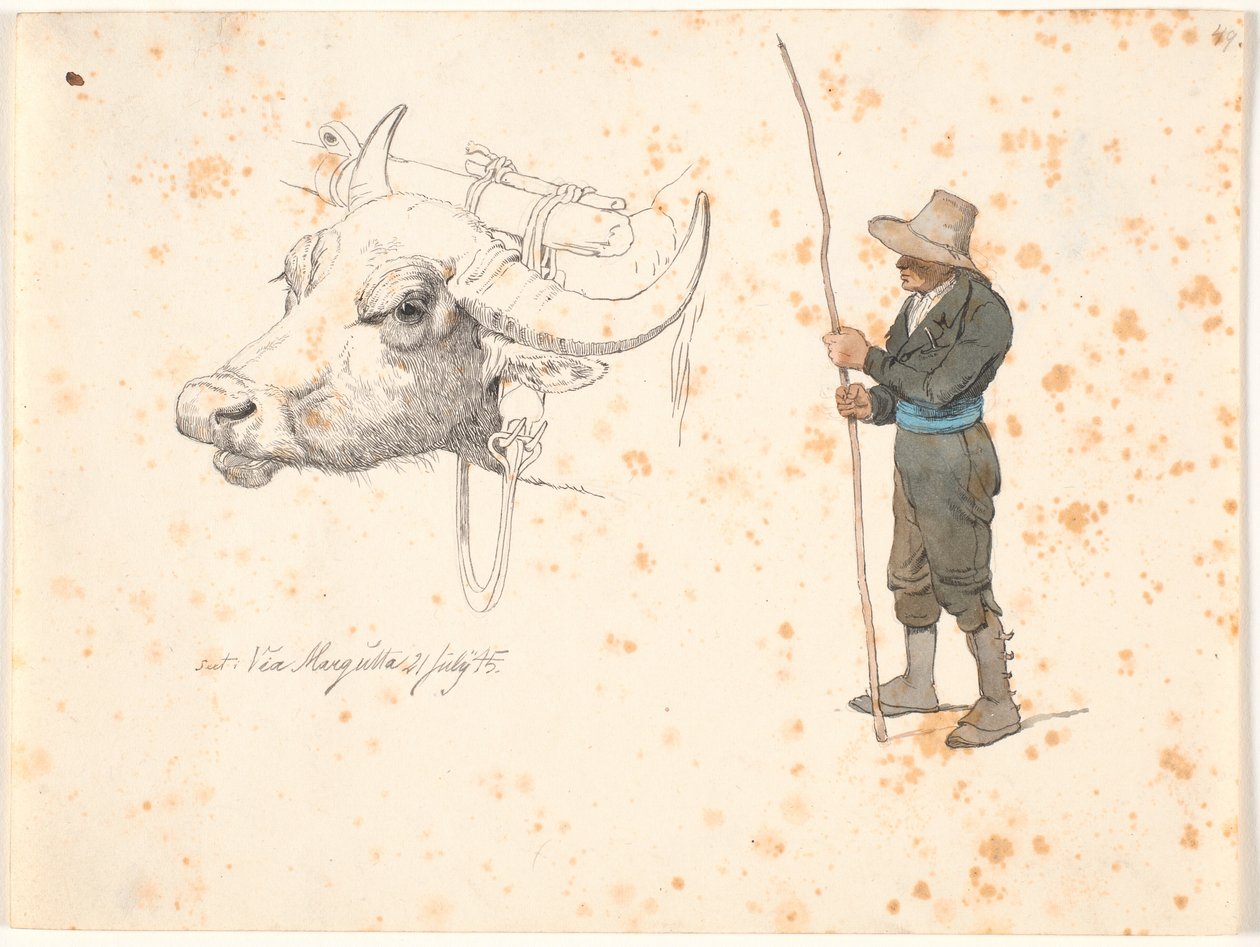 Studie des Kopfes eines Holzochsen und eines stehenden Feldmaus von Johan Thomas Lundbye