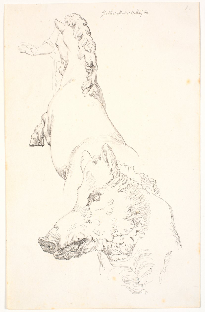 Studie nach antiken Skulpturen: Wildschweinkopf, Oberkörper eines steigenden Pferdes, von hinten gesehen und ein Arm mit Draperie von Johan Thomas Lundbye