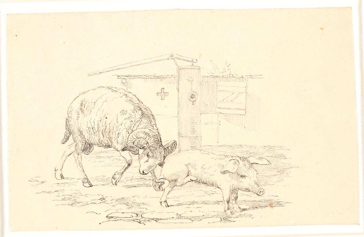 Der Widder und das Schwein. Illustration zu Kaalunds "Fabler for Børn" von Johan Thomas Lundbye