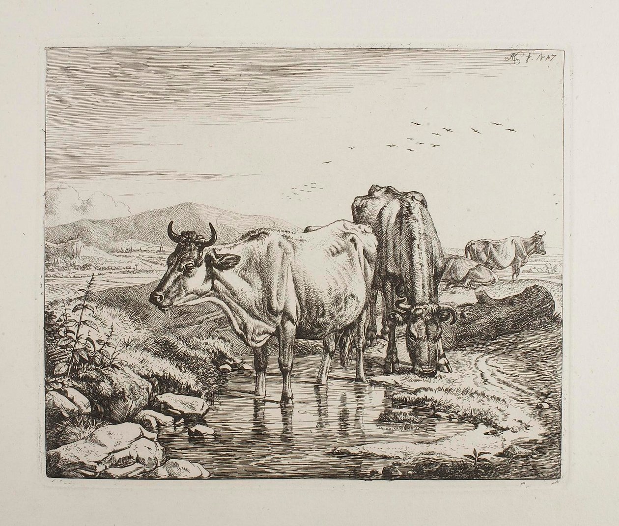Vieh an einem Wasserloch von Johann Adam Klein