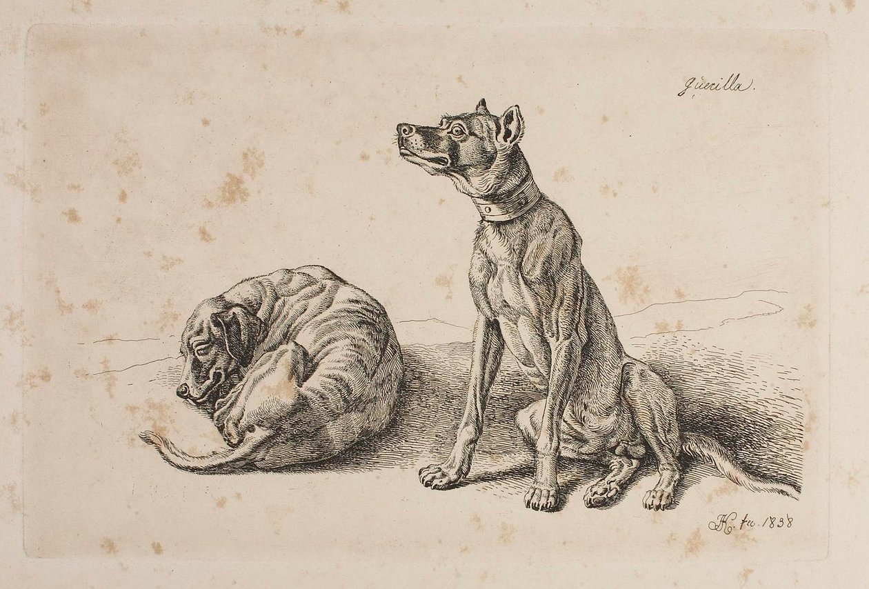 Guerilla, zwei Hunde von Johann Adam Klein