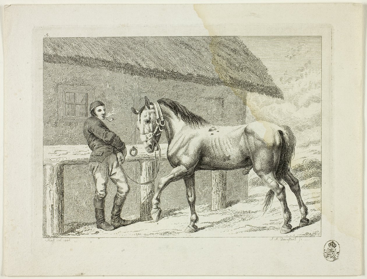 Reitschule und Pferde von Johann Adolph Darnstedt
