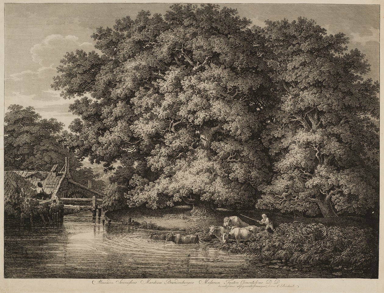 Ein Bauer treibt sein Vieh ins Wasser von Johann Christian Reinhart