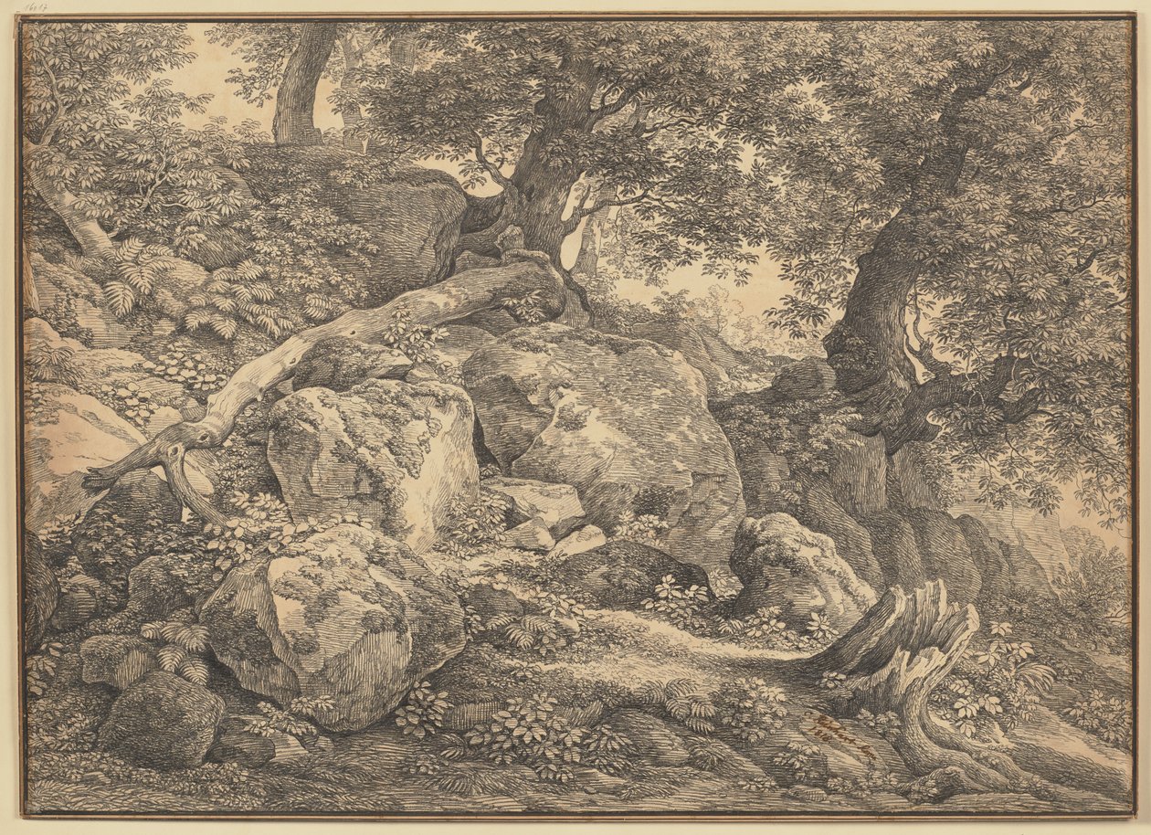 Abhang mit Felsblöcken und Ölbäumen im Park der Prinzen Chigi zu Ariccia von Johann Christian Reinhart
