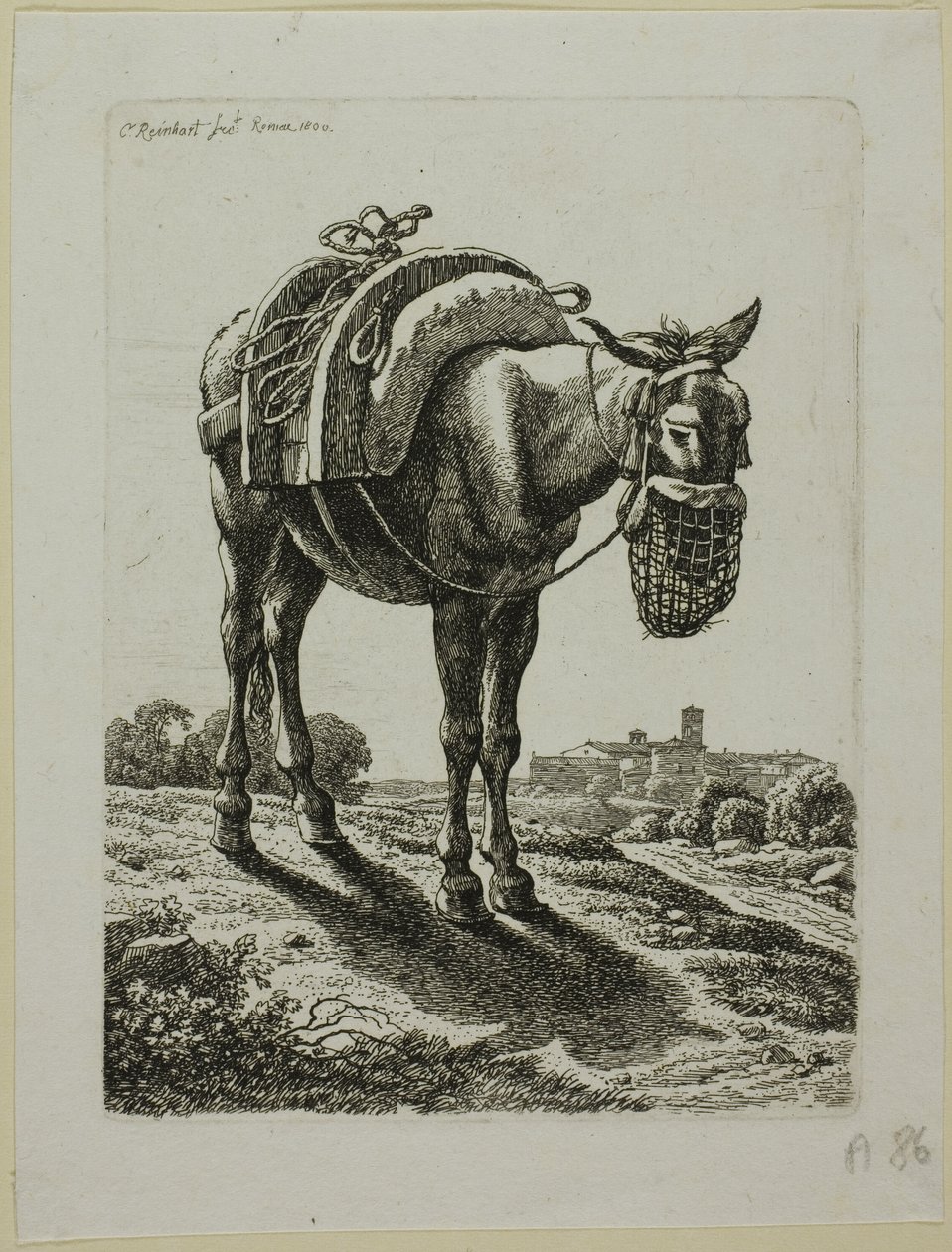 Fütternder Maultier - Vorderansicht, aus Die Zweite Thierfolge von Johann Christian Reinhart