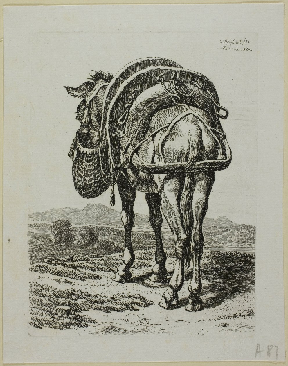 Fütternder Maultier - Rückansicht, aus Die Zweite Thierfolge von Johann Christian Reinhart