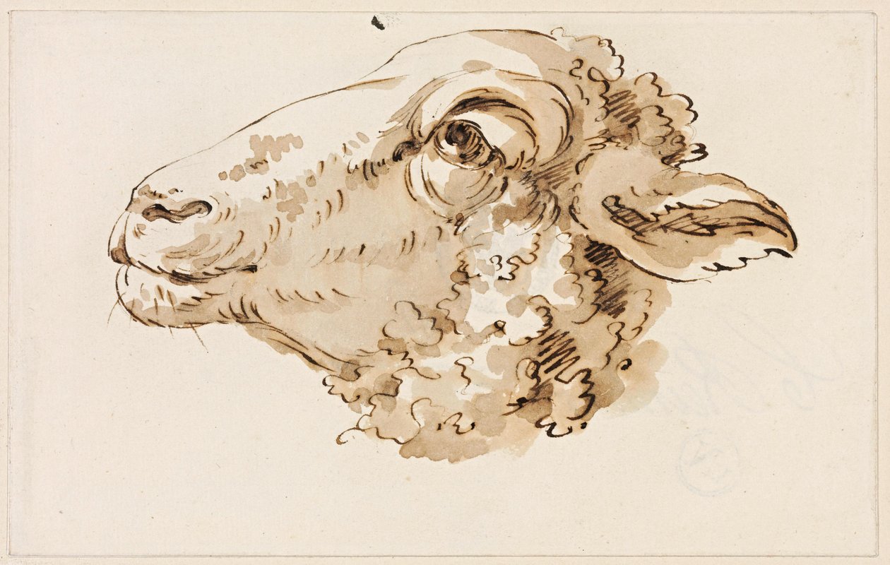 Kopf eines Schafes nach links von Johann Christian Reinhart
