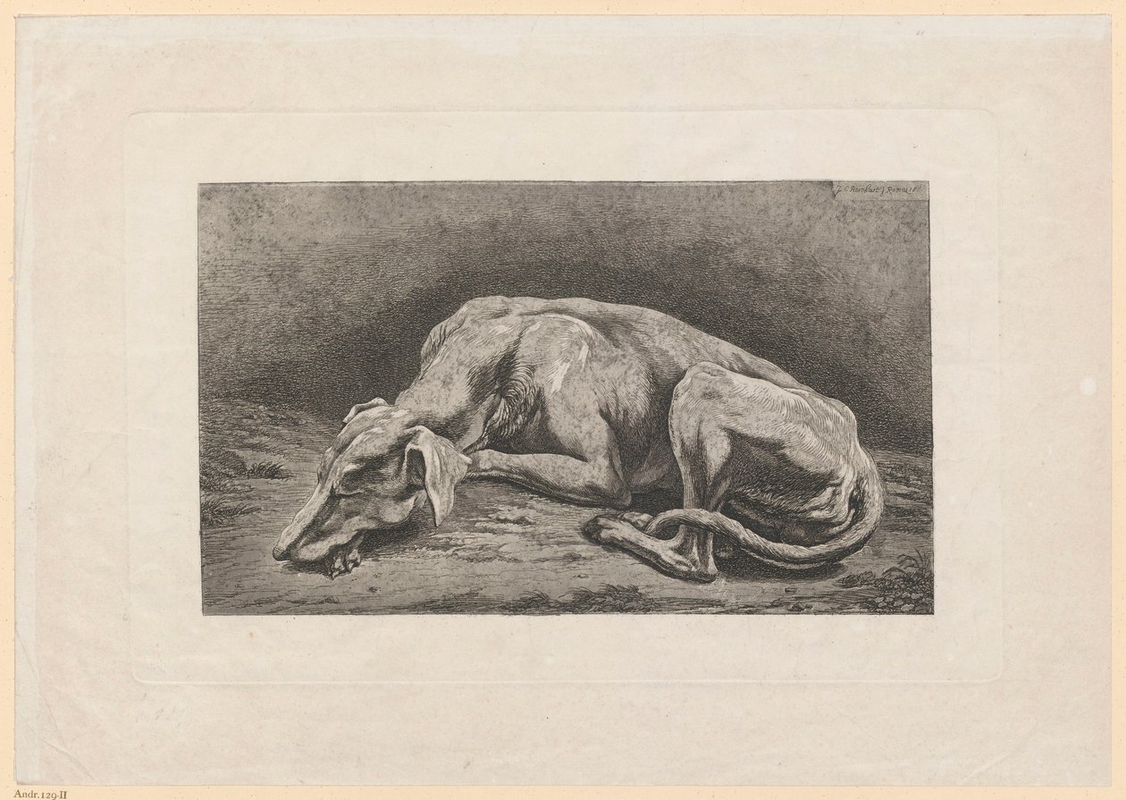 Schlafender Windhund von Johann Christian Reinhart